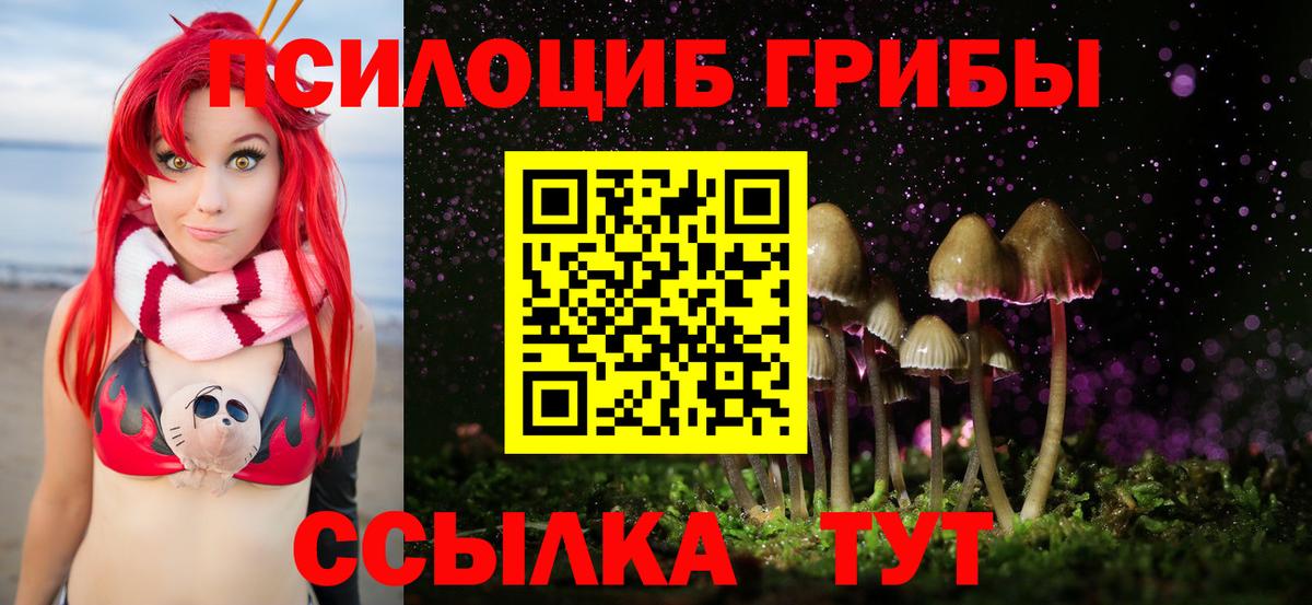 Псилоцибиновые грибы мицелий Ахтубинск